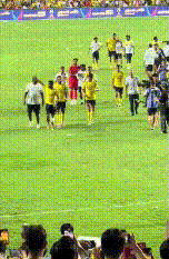 凭借着马内 凭借着马内