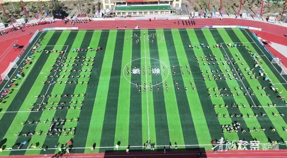 为玉树的体 为玉树的体